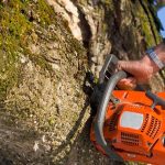 jacksonville_tree_service_1486x420