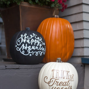 Pumpkins!