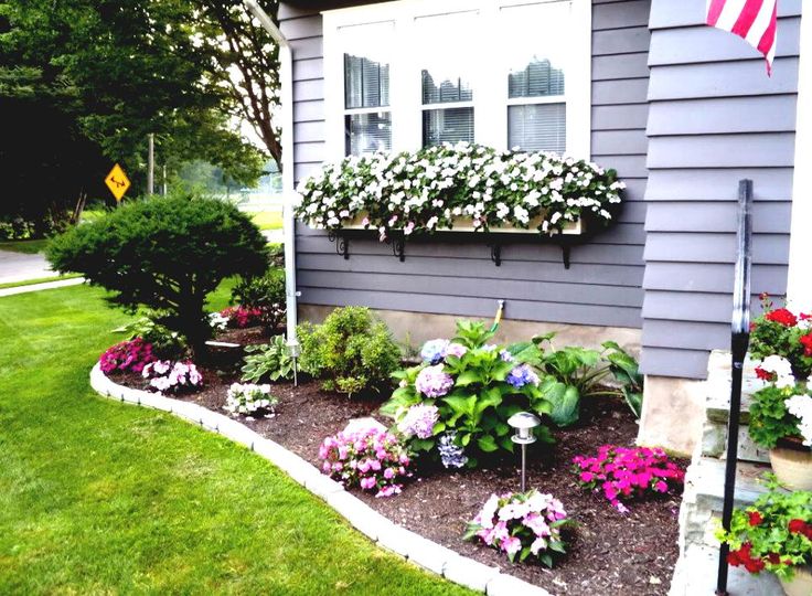 Expert Landscaping Tips to Add Beauty to Your Garden