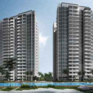 Real Estate Market