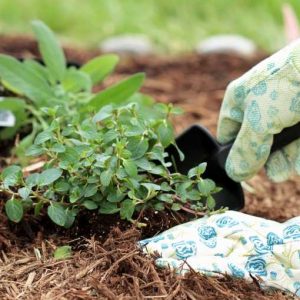How To Reduce Soil Pollution