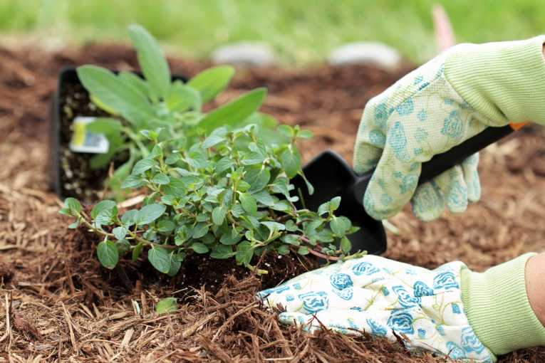 How To Reduce Soil Pollution