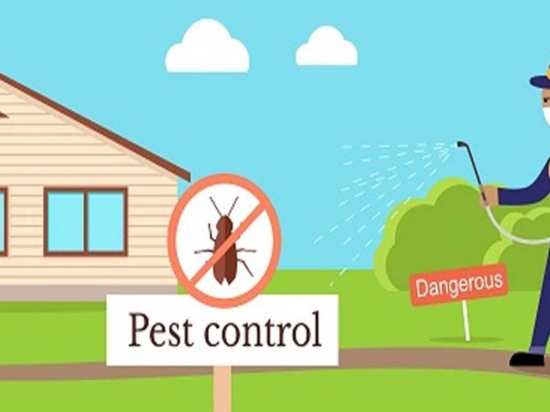 Taking the Right Steps for Pest Control