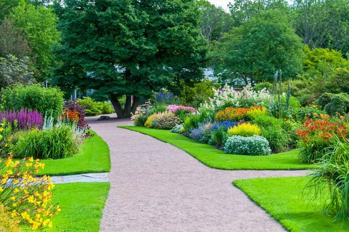 Beautiful garden