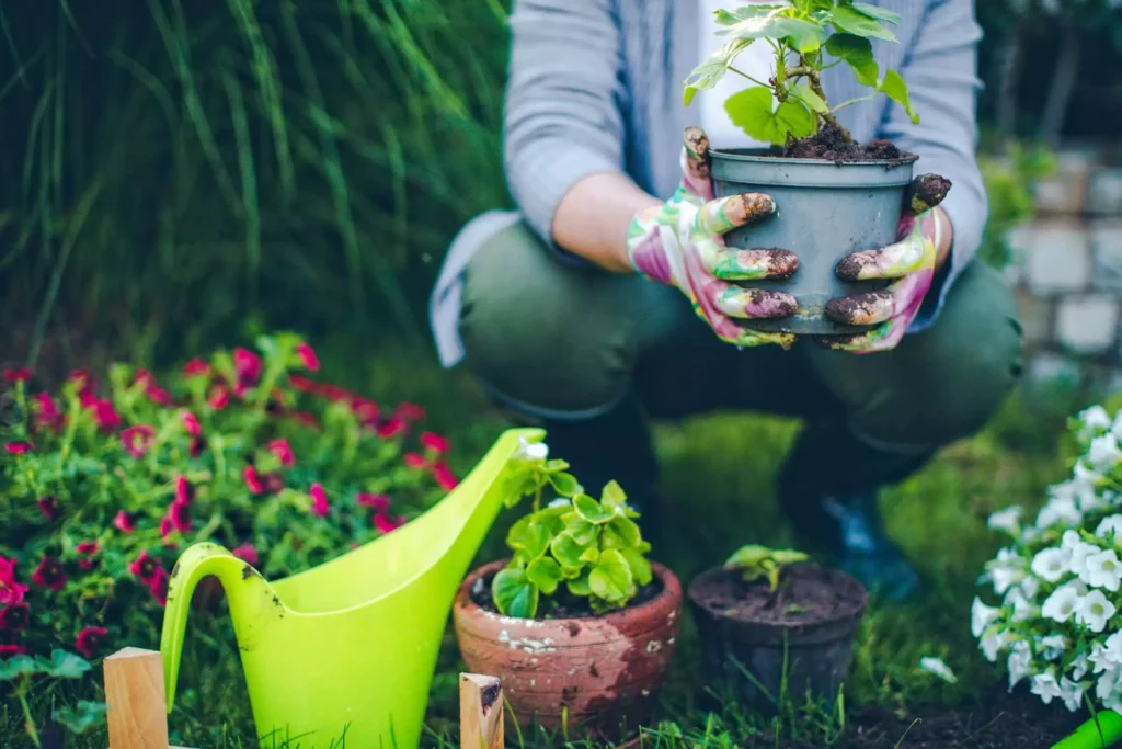 Beautiful garden