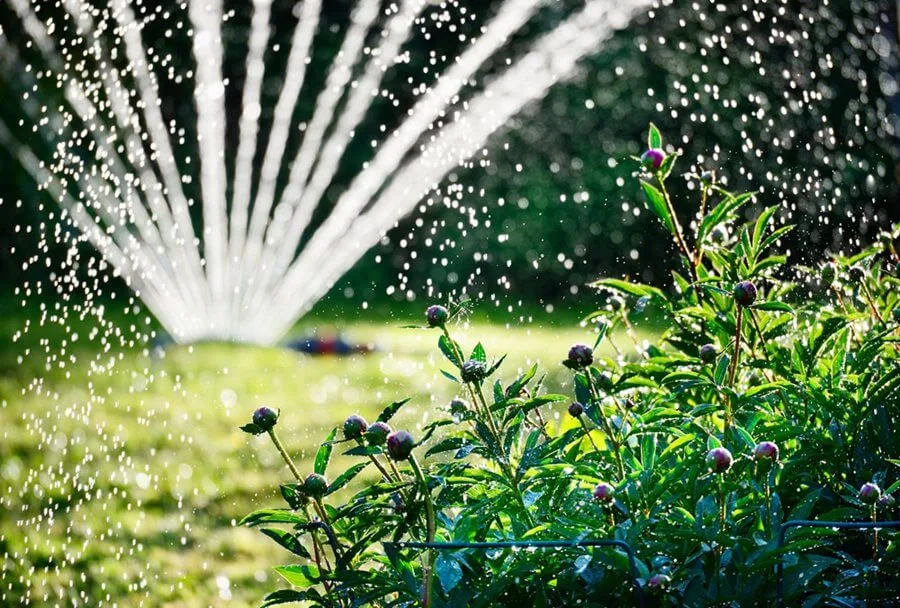 Watering and Irrigation