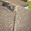 How to Identify Hail Damage on Your Roof in Plano