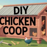 DIY Chicken Coop